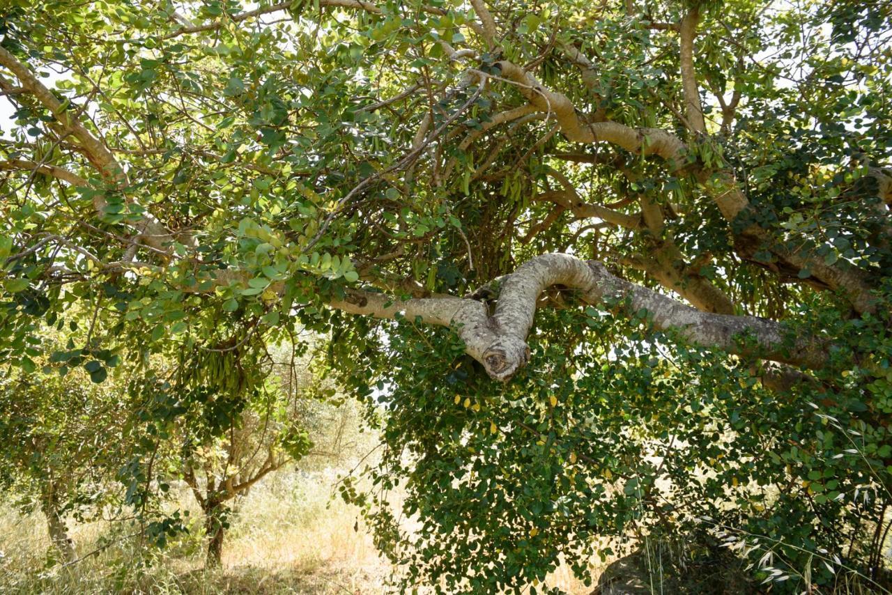 Karrua House Holiday home